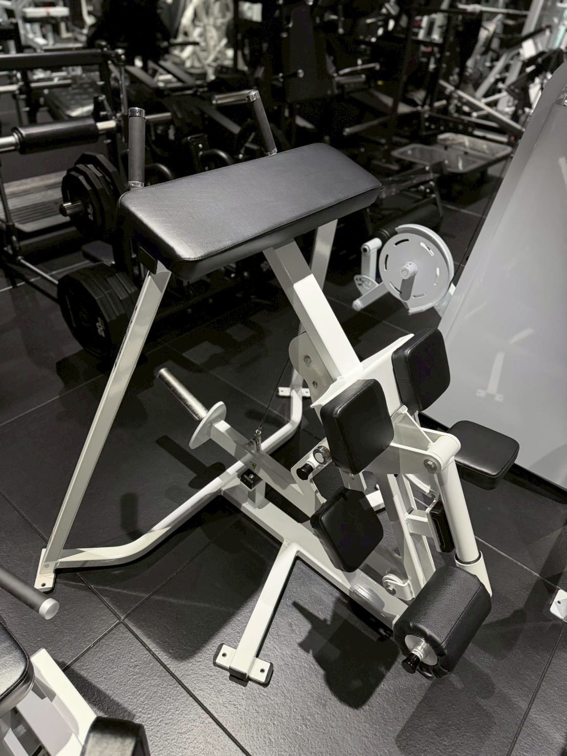 ニーリングレッグカール