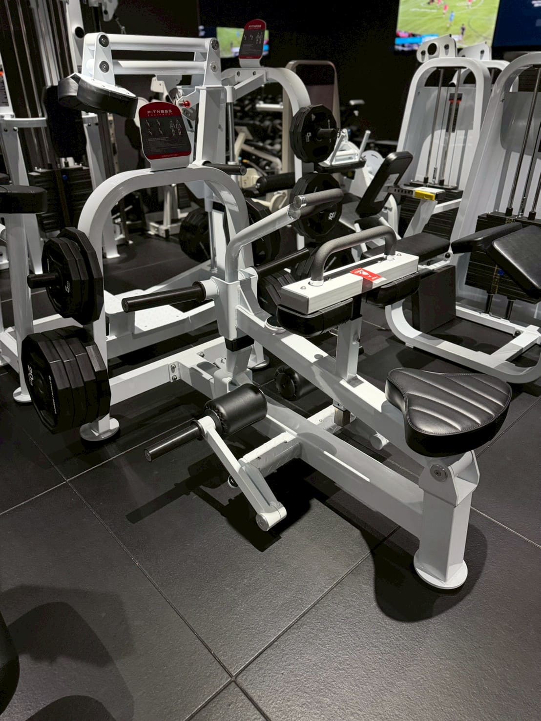 シーテッドカーフ