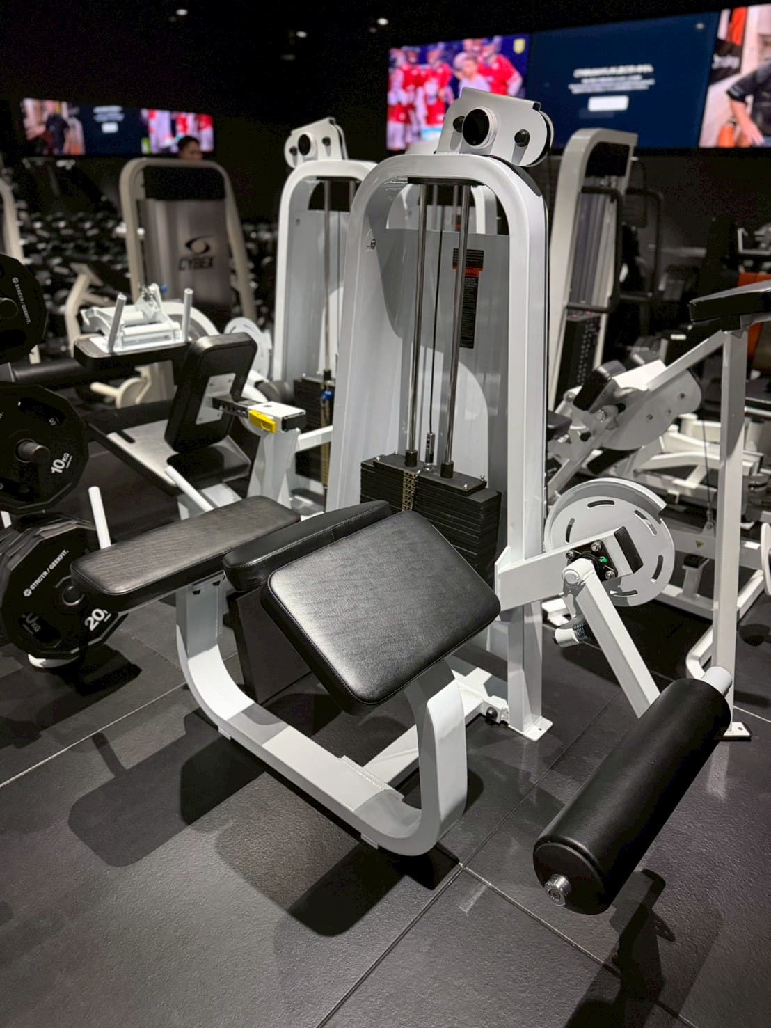 プローンレッグカール