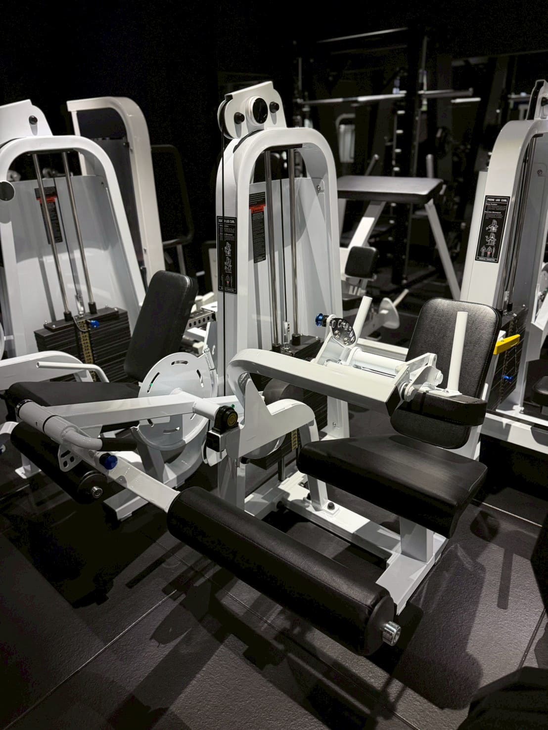 シーテッドカール