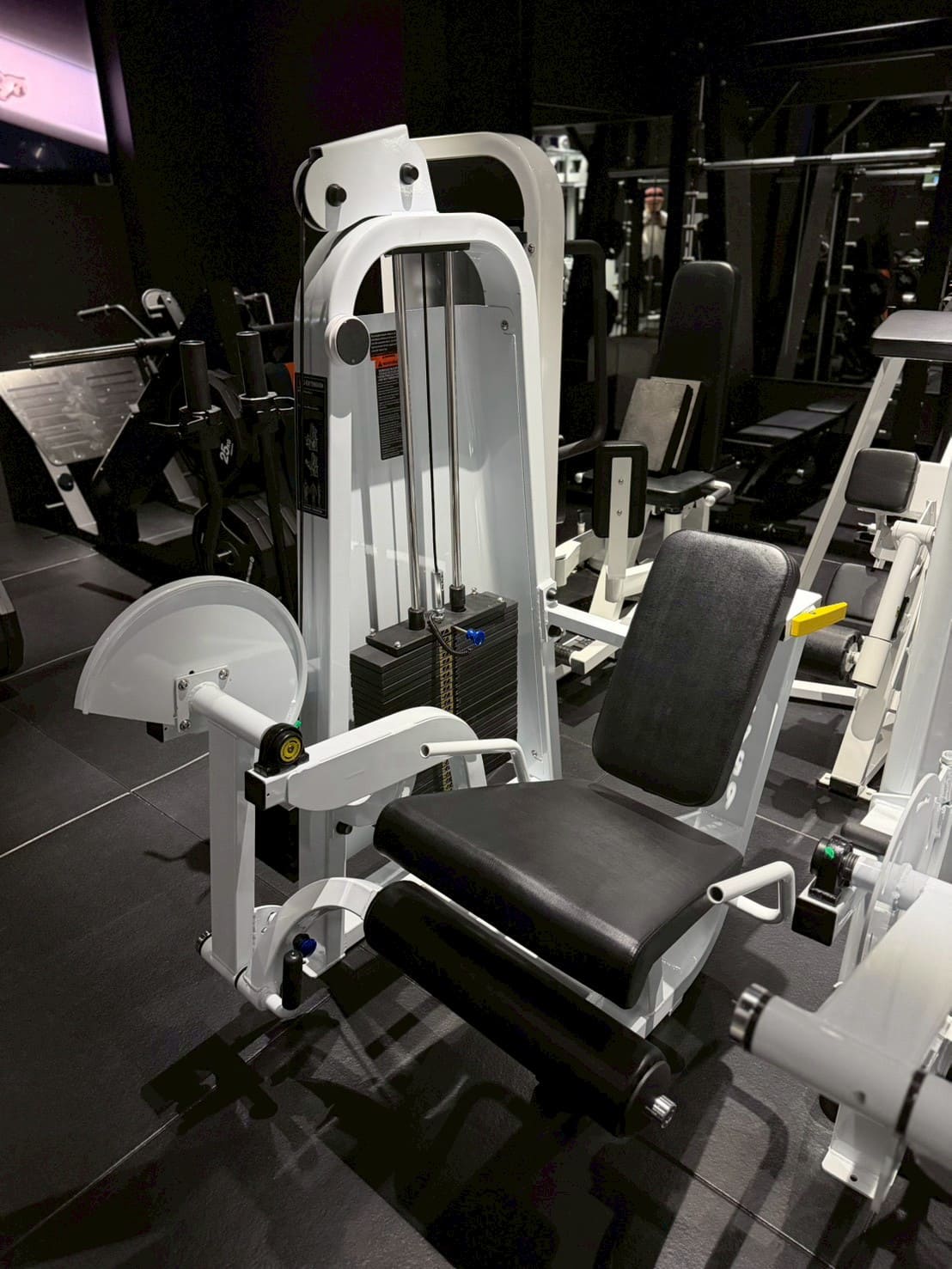 レッグエクステンション