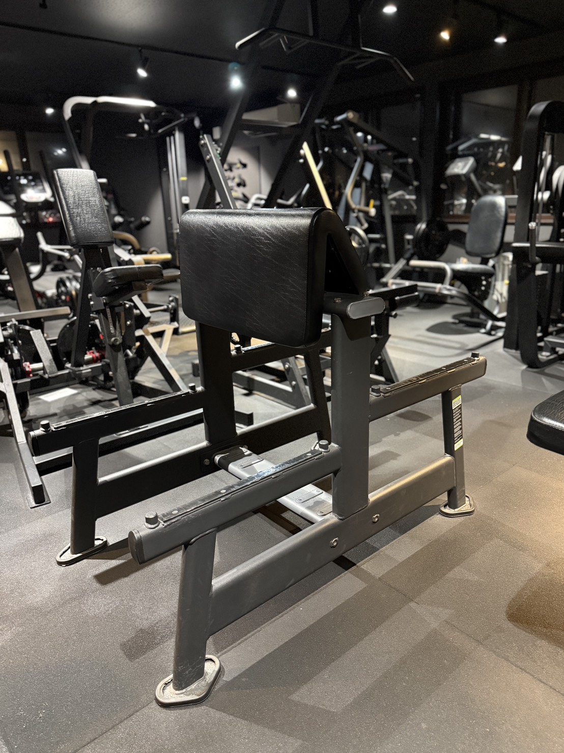 プリーチャーカール（スパイダー）