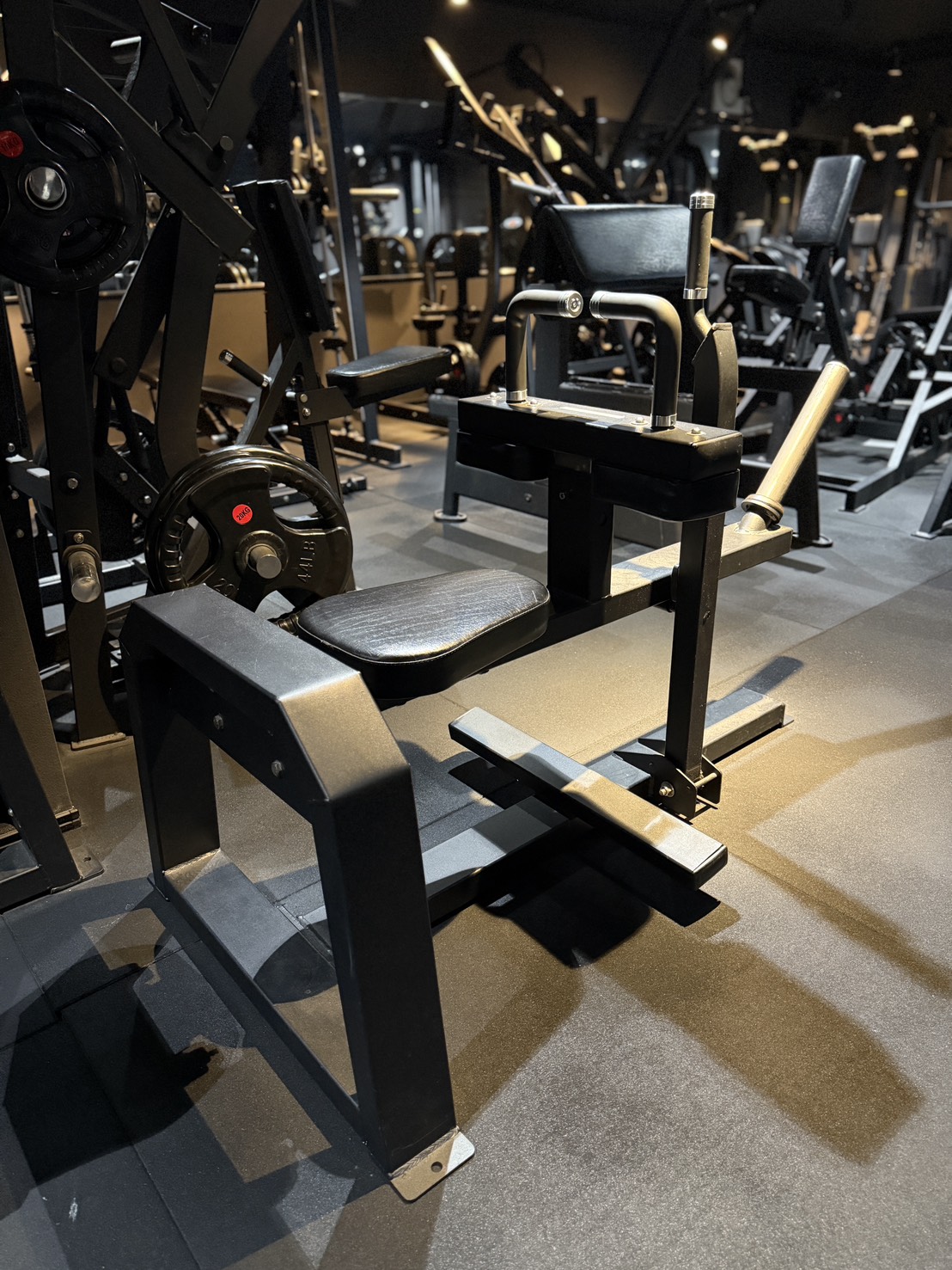 シーテッドカーフレイズ