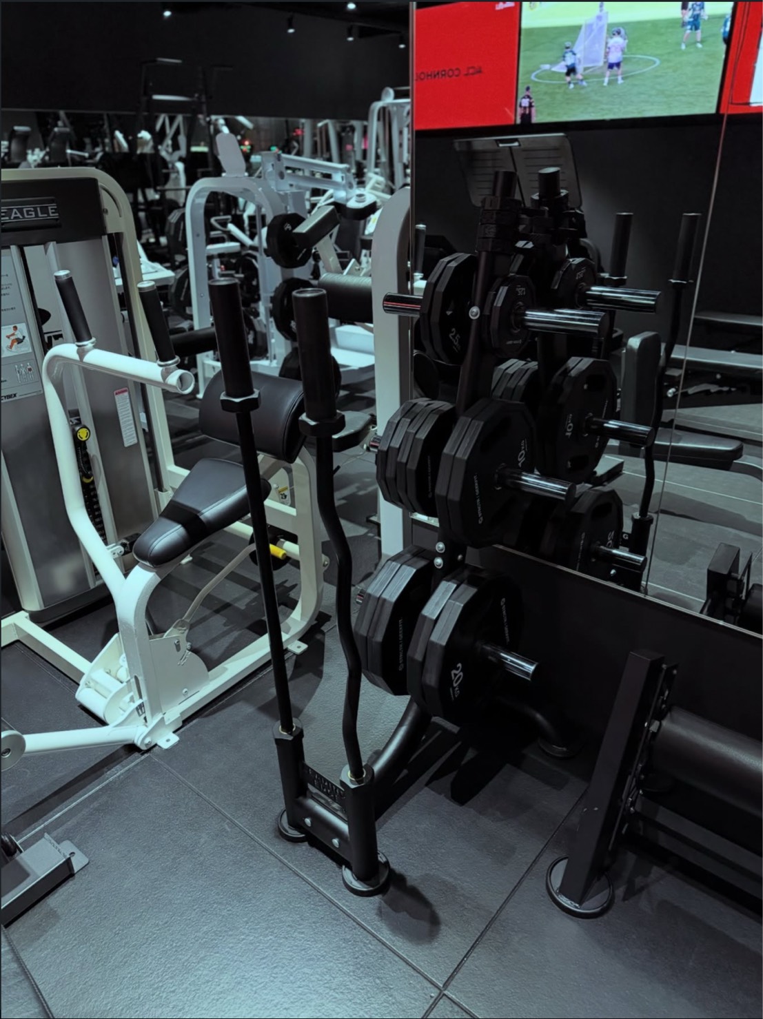 バーベルカールはストレートバーとEZバー、どっちが効果的！？｜新潟市中央区女池の24時間ジム GEEKFIT. MEIKE