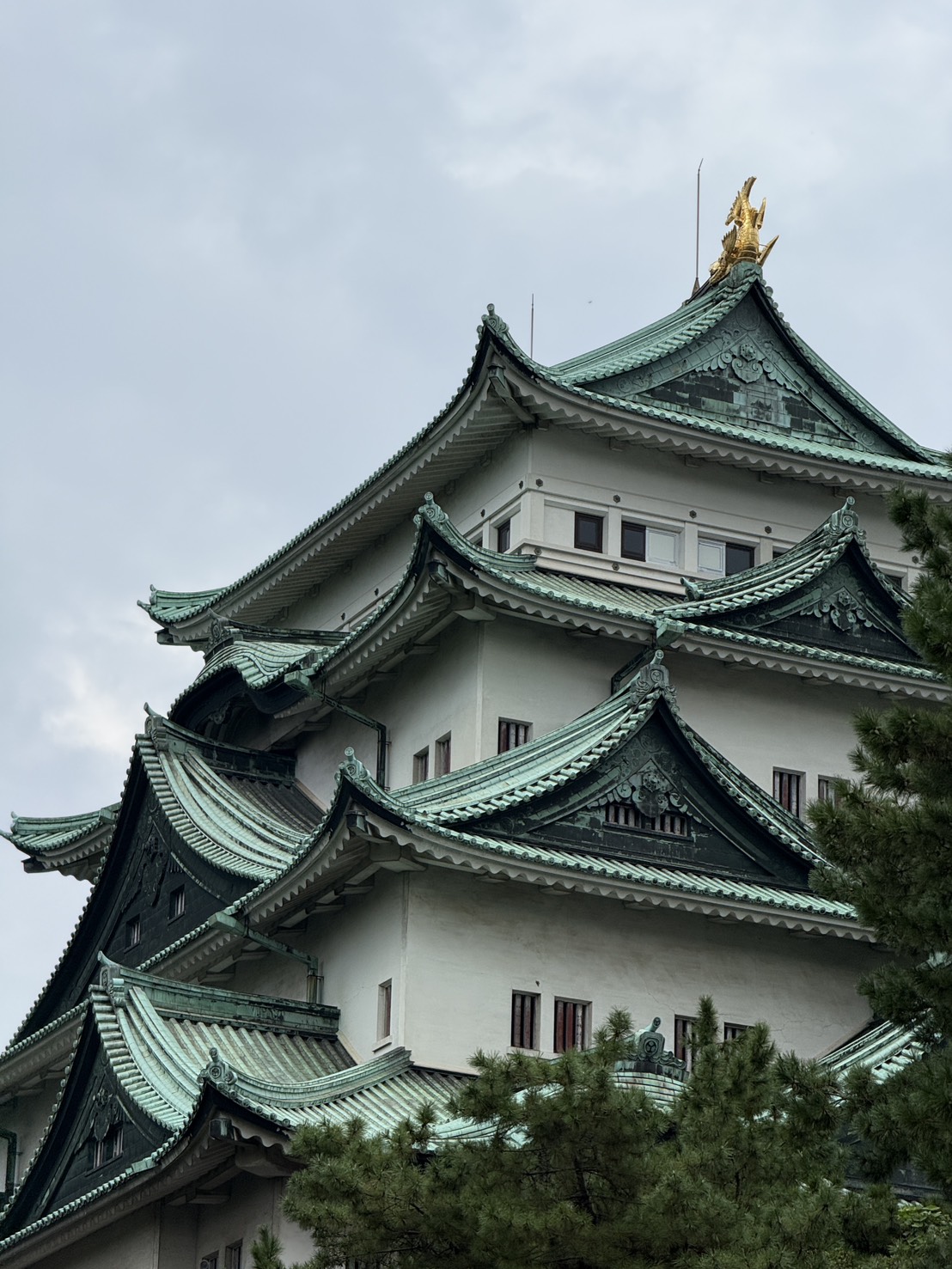 最後の1回、なぜ身体が反る？名古屋城のしゃちほこから考える「代償動作」｜新潟市中央区女池の24時間ジム GEEKFIT. MEIKE